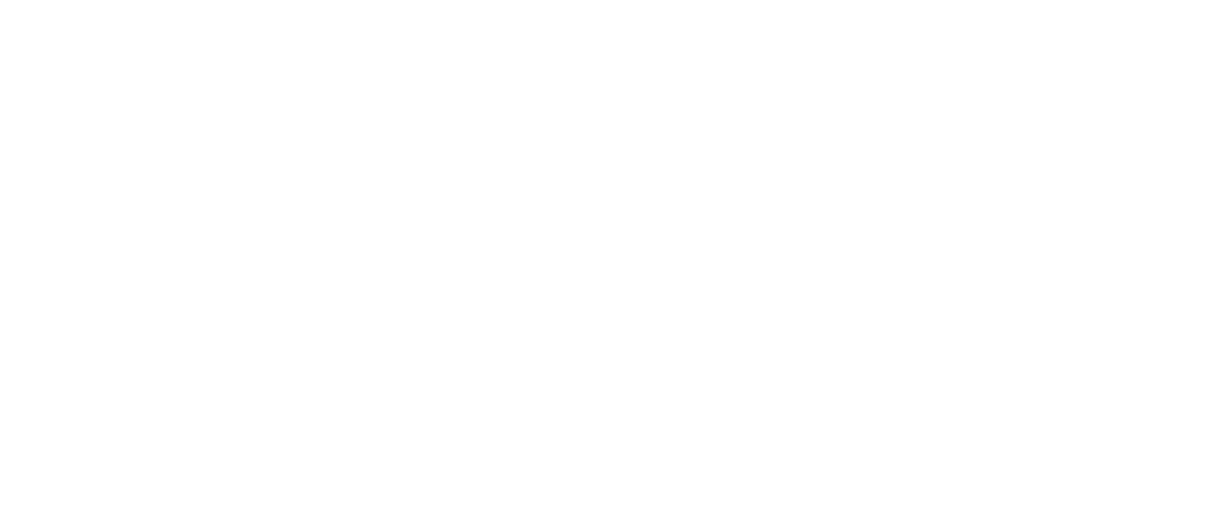 2nd Iraqi Vascular Neurosurgery Conference